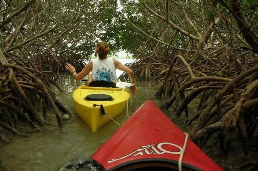 3 hours Kayak tour of menai bay coastline in Zanzibar