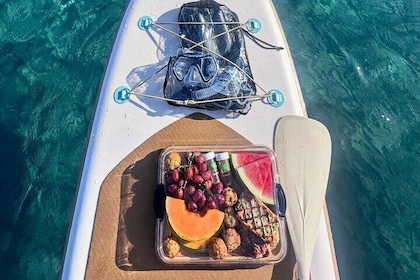 Paddle Board Picnic Palm Beach Singer Island