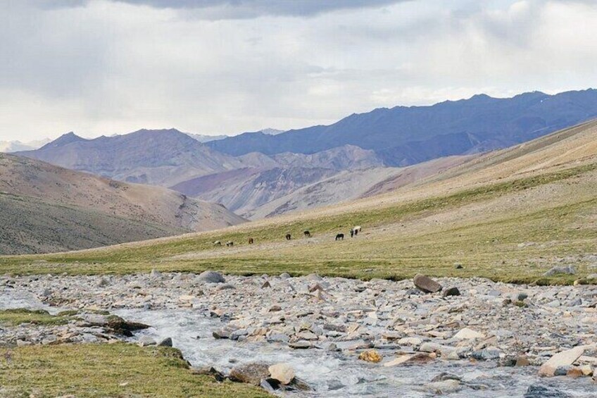 Mountaineering in Ladakh