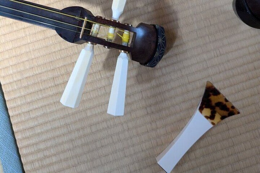 45min Shamisen Session in Kyoto