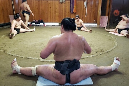 Sumo Practice Viewing Guided Tour and Photo with Sumo Wrestlers