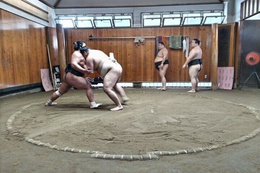 Sumo Wrestlers practicing