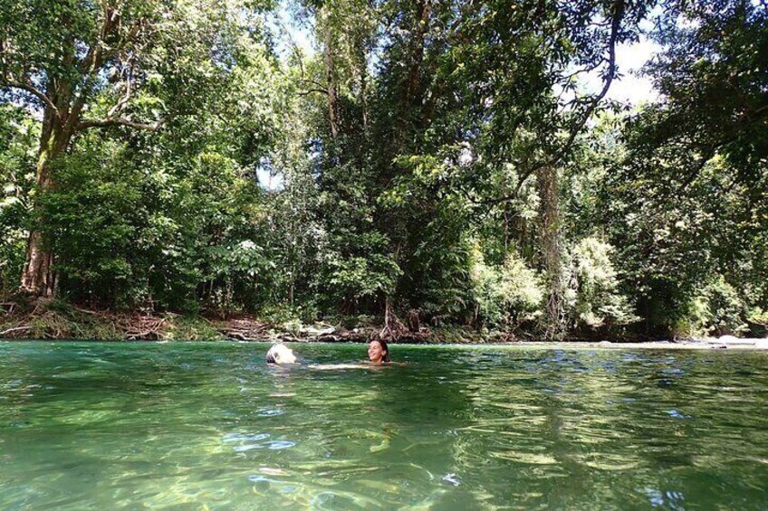Cairns Explorer Tour