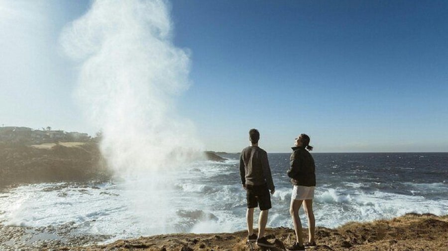 Private Kiama and South Coast Tour from Sydney