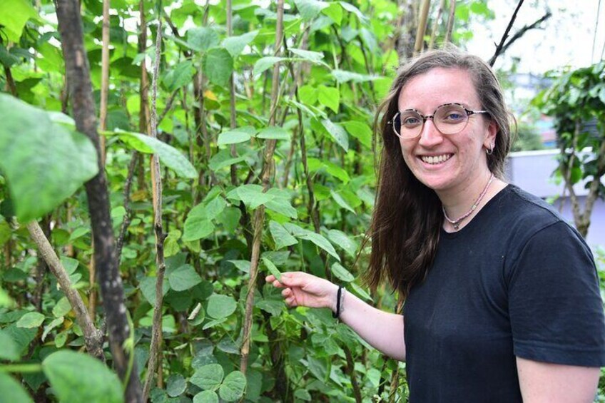 Vegetable garden Visits