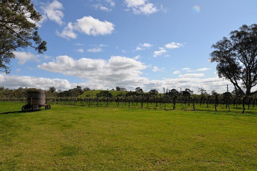 Adelaide Japanese Group Winery Day Tour in Barossa and Hahndorf