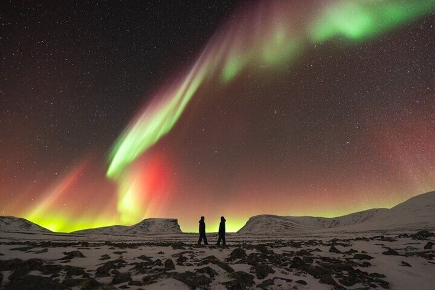 Northern Lights Photo Expedition Dinner Included from Abisko