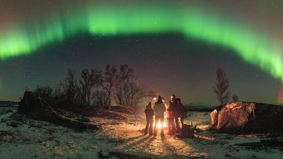 Northern Lights Photo Expedition Dinner Included from Abisko