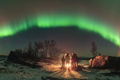 Northern Lights Photo Expedition Dinner Included from Abisko