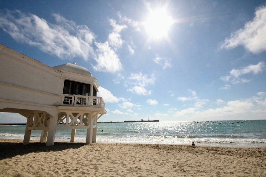 Private Walking Tour of Cadiz