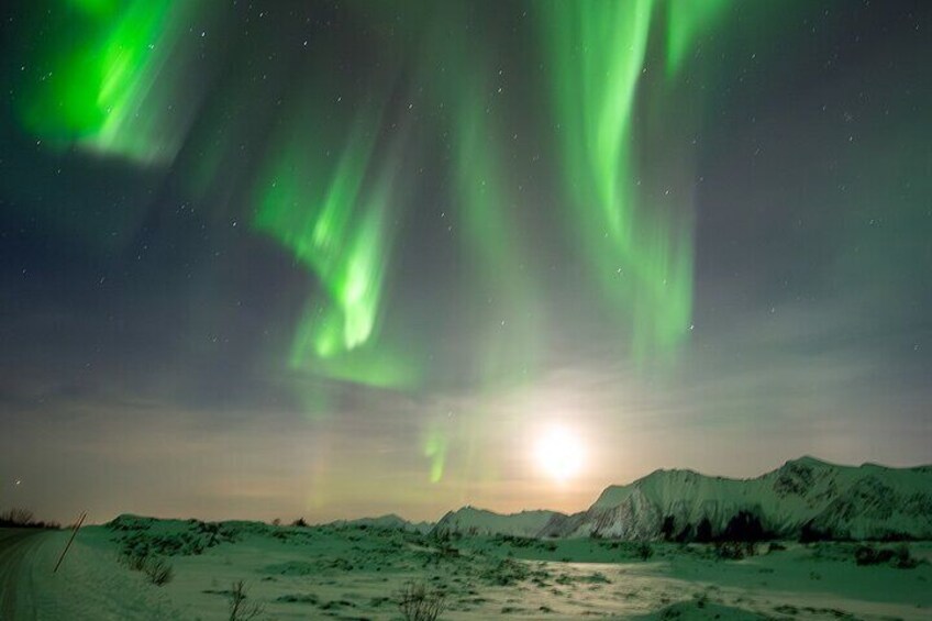 northern lights and full moon