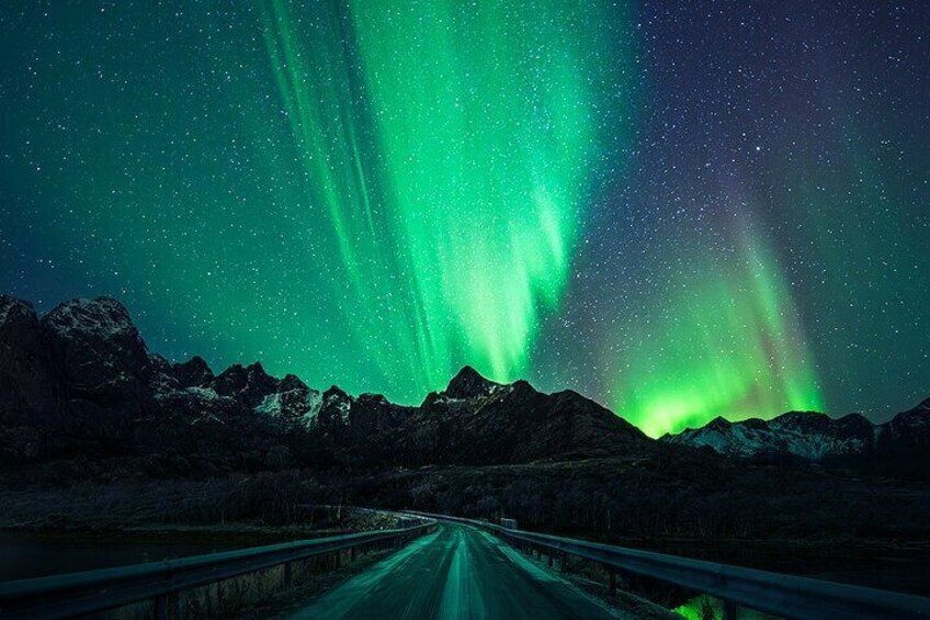 northern lights in Lofoten