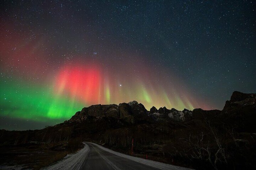 northern lights in Lofoten