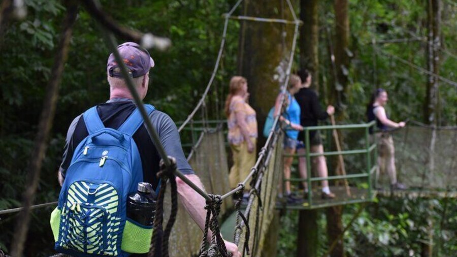 Manuel Antonio Hanging Bridges and Waterfall Tour
