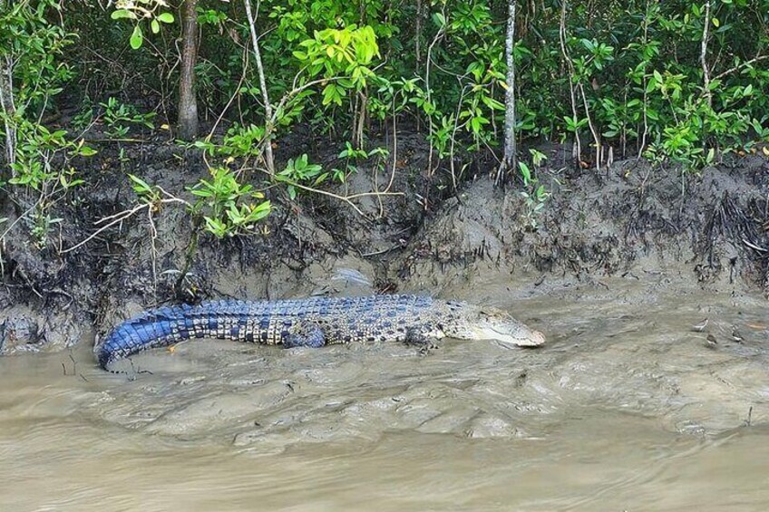 3 Days Sundarban and Bagerhat Private Tour