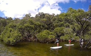 Sydney to Ku-ring-gai Wildlife Adventure Tour
