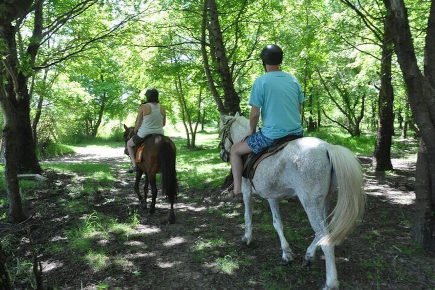 Horse Riding Tour at Taurus Mountains with Roundtrip Transfer