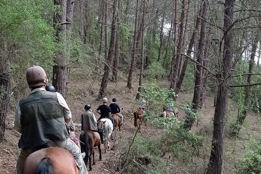 Horse Riding Tour at Taurus Mountains with Roundtrip Transfer