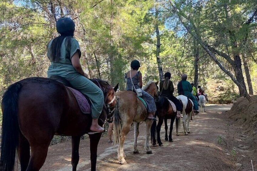 Horse Riding Tour at Taurus Mountains with Roundtrip Transfer