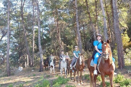 Horse Riding Tour at Taurus Mountains with Return Transfer