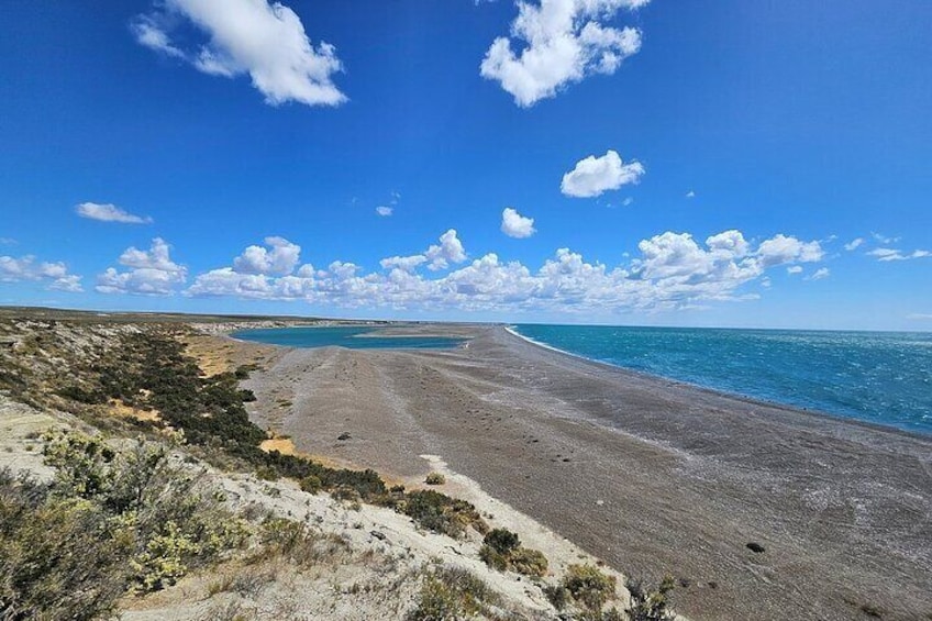 Caleta Valdes viewpoint