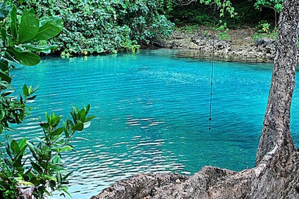 Half Day Blue Lagoon & Eden + Duty free shop'g Tour