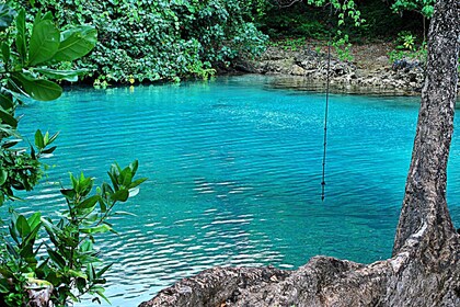 Half Day Blue Lagoon & Eden + Duty free shop'g Tour