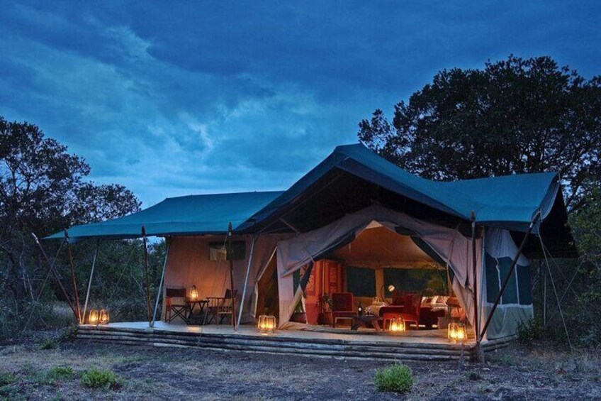 Private Guided Night Drive at Ol Pejeta Conservancy