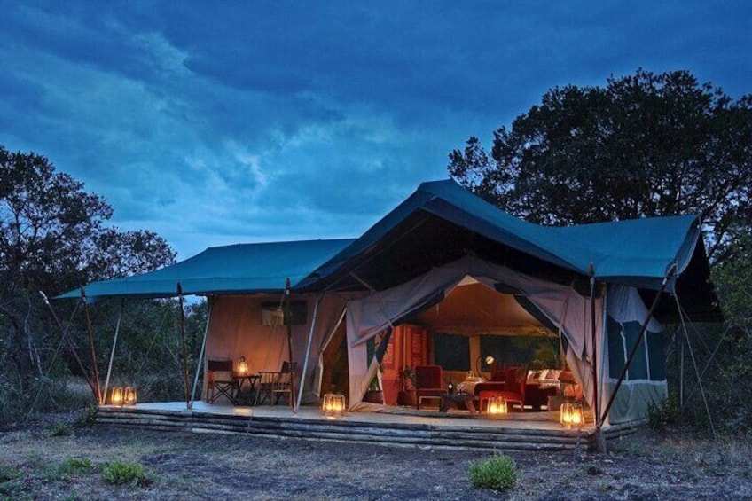 Private Guided Night Drive at Ol Pejeta Conservancy
