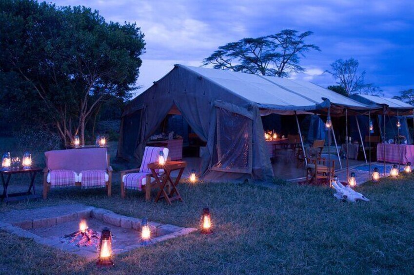 Private Guided Night Drive at Ol Pejeta Conservancy