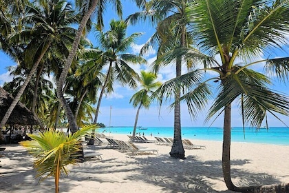 Saona Island Private Yacht Excursion in Tropical Paradise