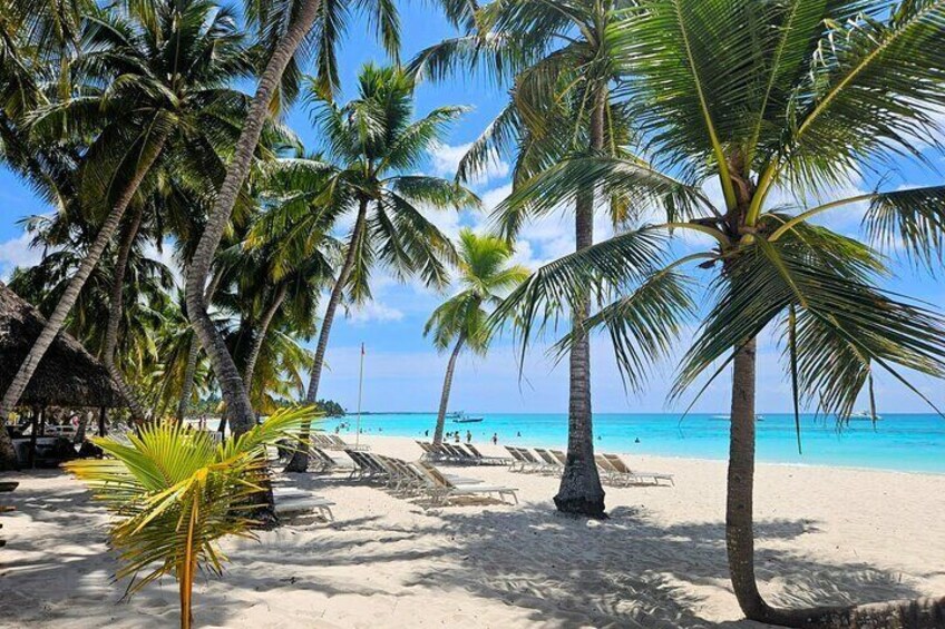 Playa del Gato, Isla Saona