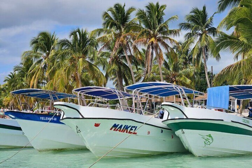 Saona Island Private Yacht Excursion in Tropical Paradise