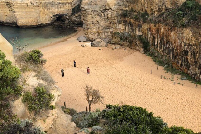 Private Great Ocean Road Local Experience