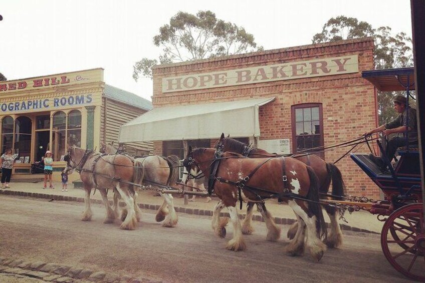 Ballarat Gold Fields - Sovereign Hill & Winery Tour