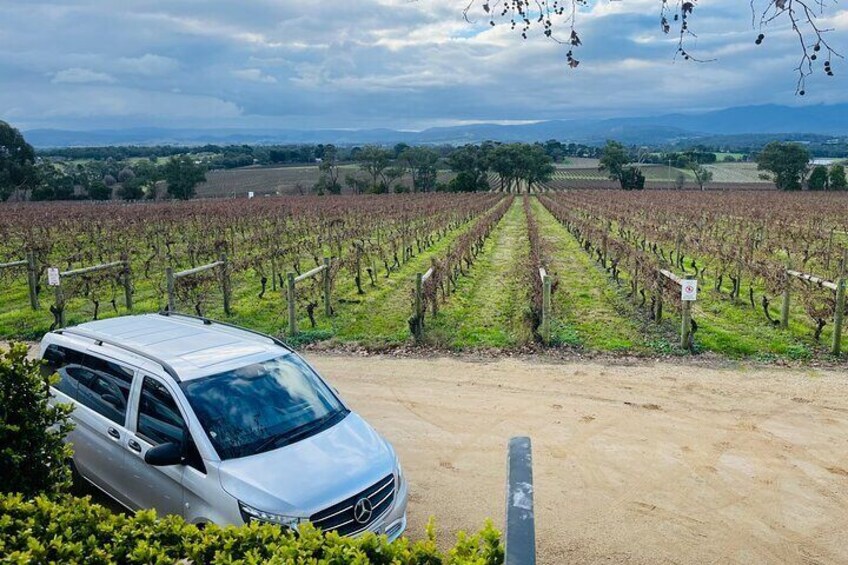 Private Yarra Valley And Puffing Billy Tour