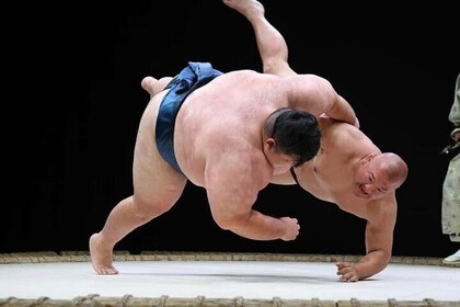 Sumo Showdown and Culinary Showstoppers Osaka's Foodie Experience