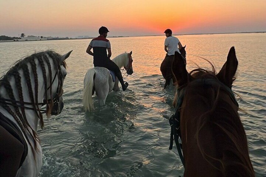 Horse Riding Next to Bahrain Fort