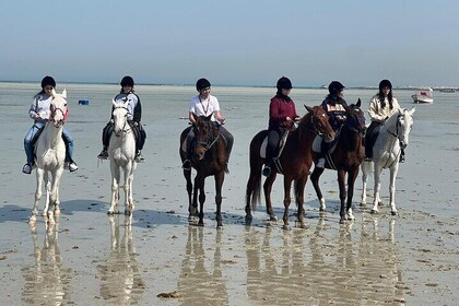 Horse Riding Next to Bahrain Fort