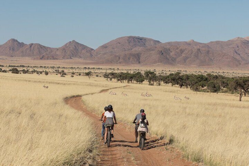 Namib Desert Bike Riding