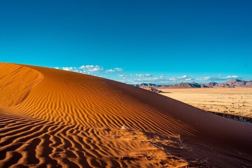 Namib Desert Dunes
