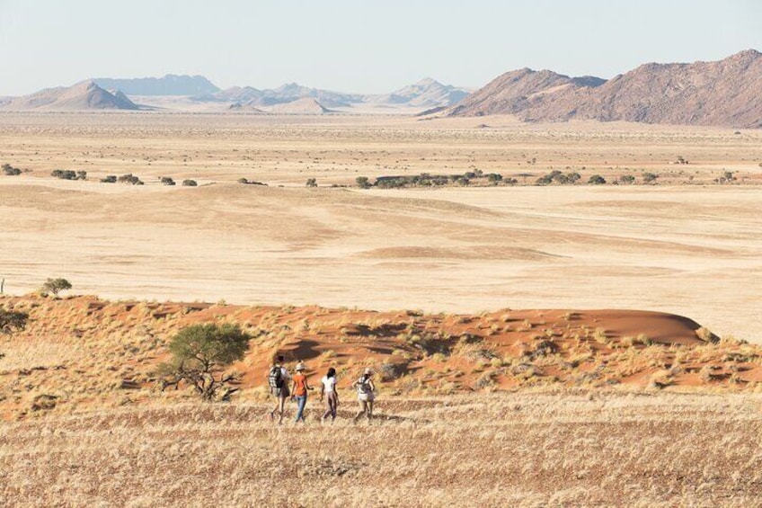 Namib Desert Hike