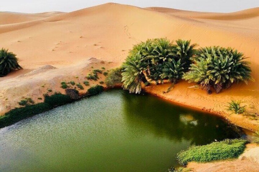 Oasis lake
