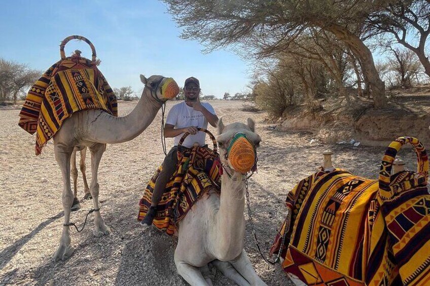 Camel Riding 