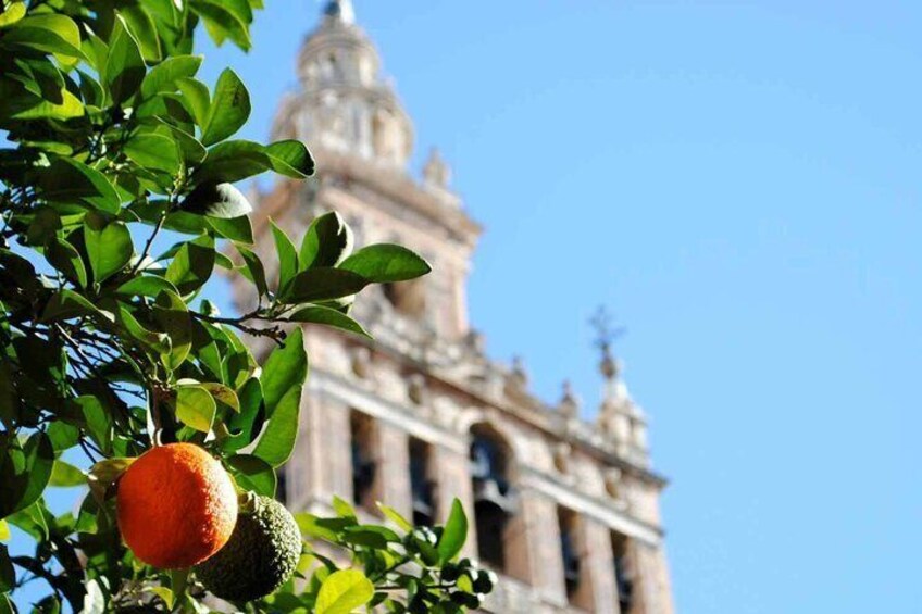 Giralda