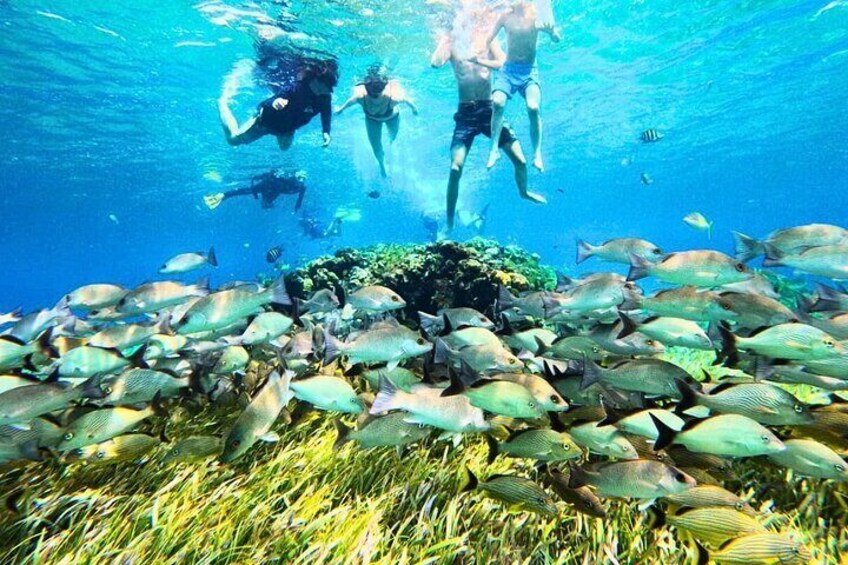 El Cielo Cozumel Snorkel Private Excursion and Beach Club