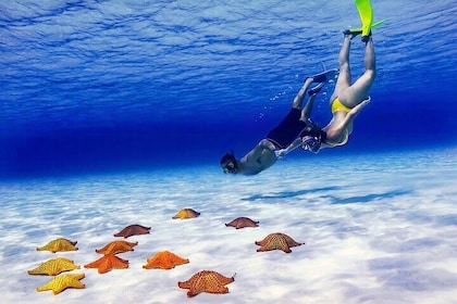 El Cielo Cozumel Snorkel Private Excursion and Beach Club