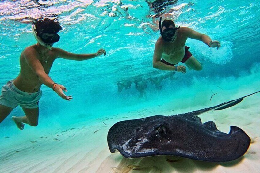 El Cielo Cozumel Snorkel Private Excursion and Beach Club