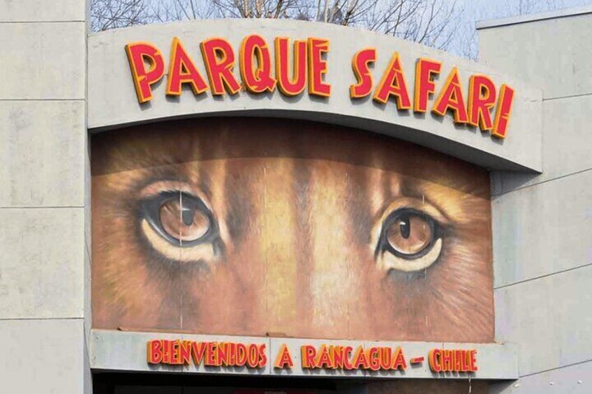 Tour to Arauco Park and Safari Park in Chile