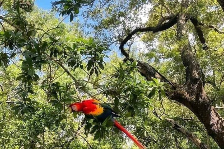 Food Tasting Wildlife Encounter and Beach